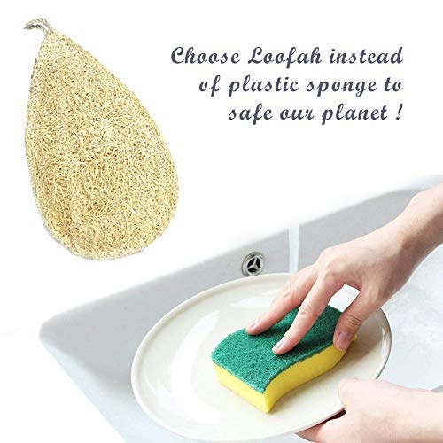 Miw Piw Natural Loofah Dish Sponge Vegetable Scrubber for Kitchen - 100% Biodegradable Compostable Dishwashing Scouring Pad Zero Waste (Pack 10) - Image 5